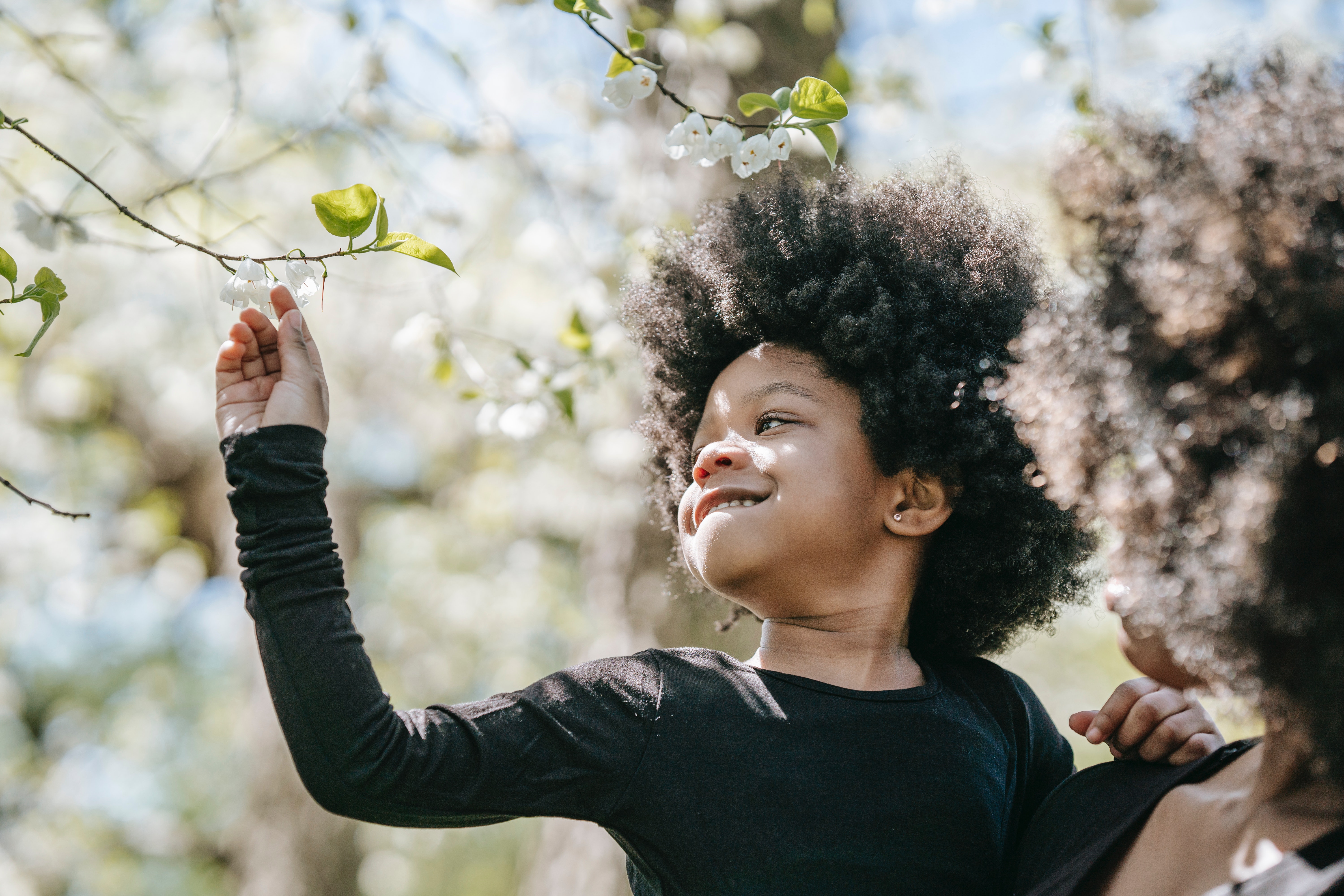 A picture of a child picking flowers off of a tree